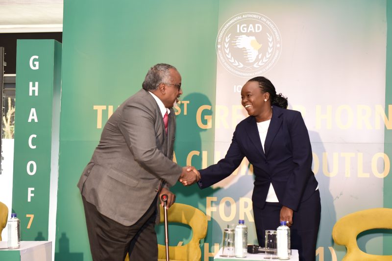 Climate threats jeopardize growth, investments in greater Horn of Africa: IGAD