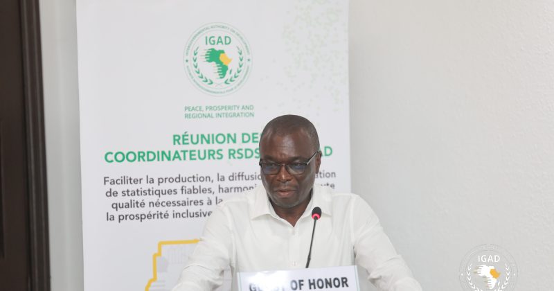 IGAD takes stock of Horn of Africa’s data master plan