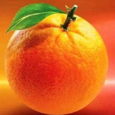 ODM Invites aspirants for Ugunja and Kasipul By‑Elections ahead of November 27 by-elections
