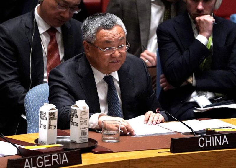 ‘Any attempt to occupy Gaza must be firmly opposed’: China tells UNSC