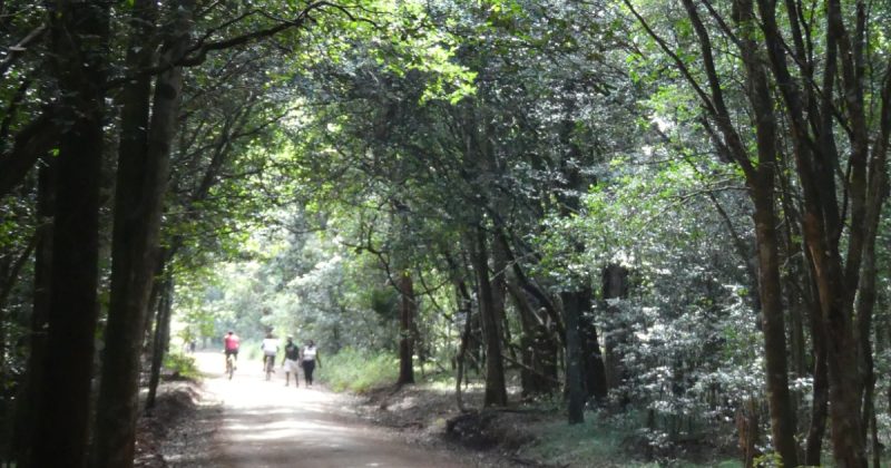 Friends of Karura Forest oppose KFS directive on e-Citizen payment