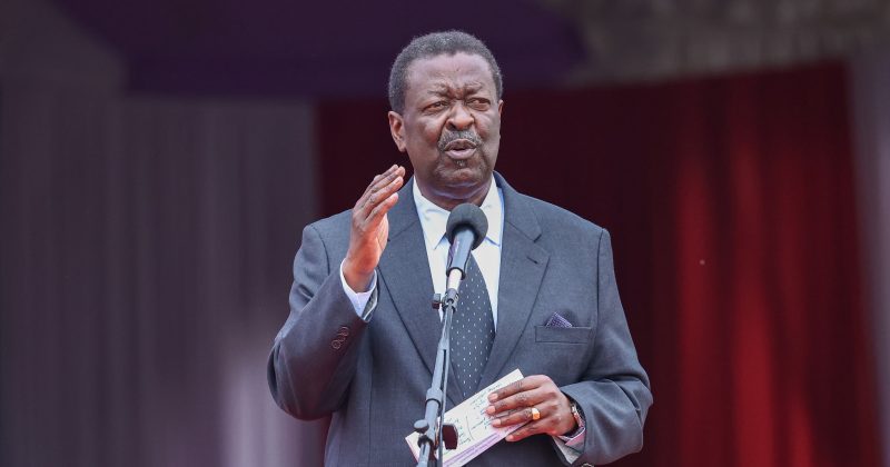 Mudavadi: Local missteps harm and scare foreign investors at counties