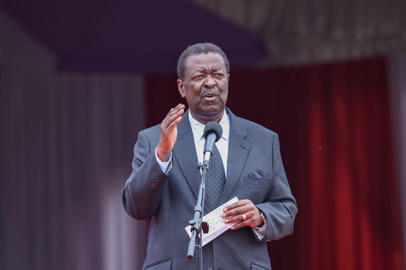 Mudavadi: Local missteps harm and scare foreign investors at counties