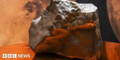 Mars rock found in Niger sells for millions in New York – now the country wants answers