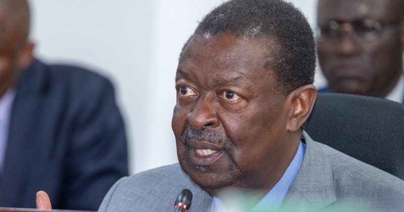 27 Kenyans conscripted into Russia-Ukraine war rescued and repatriated: Mudavadi