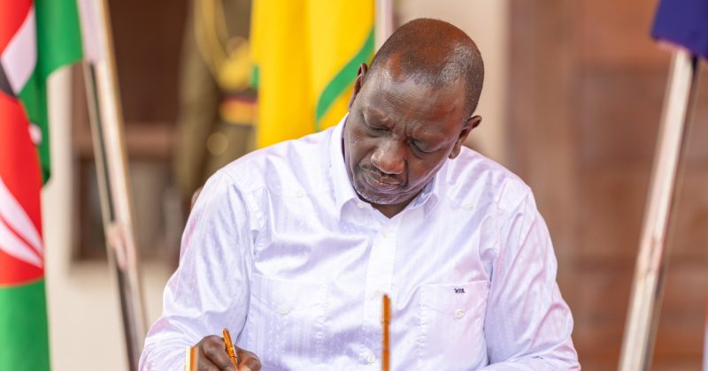 Ruto hands Claris Onganga declined KNCHR Chairperson post