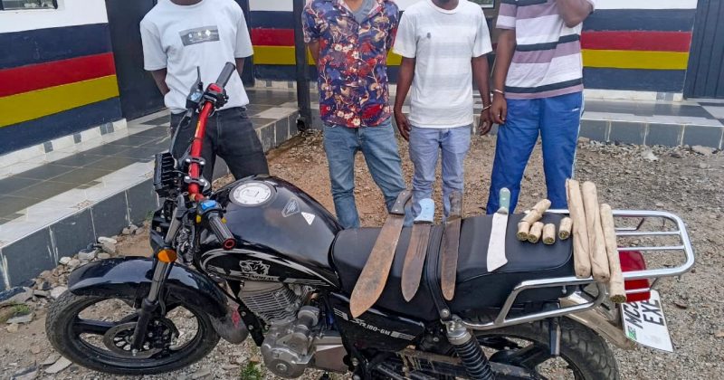 Police arrest notorious Kwale gang in a raid on Lunga Lunga hideout