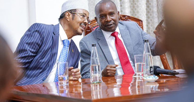 Keynan protests North Eastern profiling following Gachagua’s terror claims