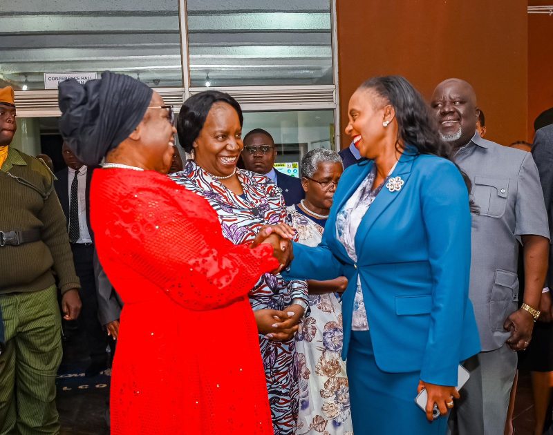 Public Health PS Mary Muthoni Leads Kenya Delegation to COMESA Health Ministers Meeting in Lusaka