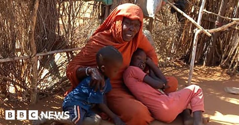 Sudan paramilitaries accused of crimes against humanity over siege of key city