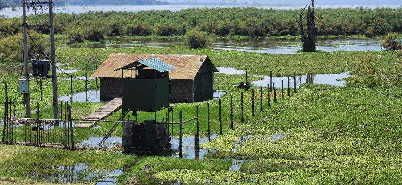 Over 4,000 displaced amid concerns of rising water levels around Lake Naivasha