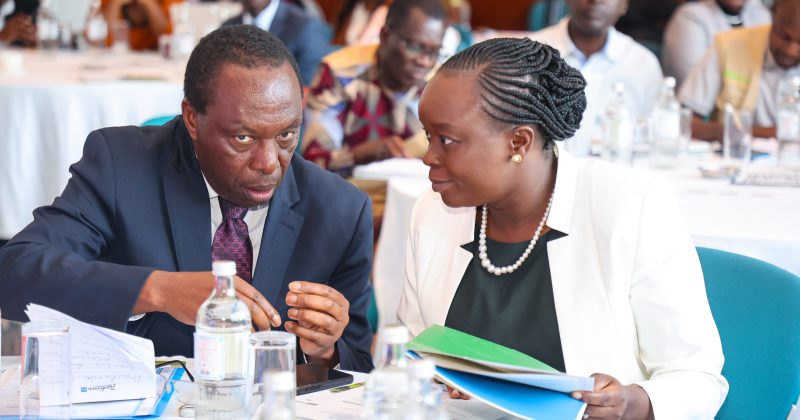 Kenya unveils 10-year strategy to advance ecosystem restoration, agroforestry development