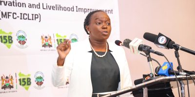 Kenya to plant 4 million trees in 1st Phase of Mau Forest Restoration drive