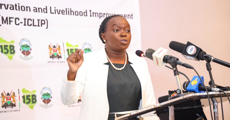 Kenya to plant 4 million trees in 1st Phase of Mau Forest Restoration drive
