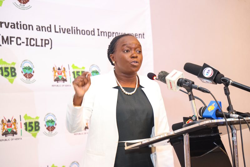 Kenya to plant 4 million trees in 1st Phase of Mau Forest Restoration drive