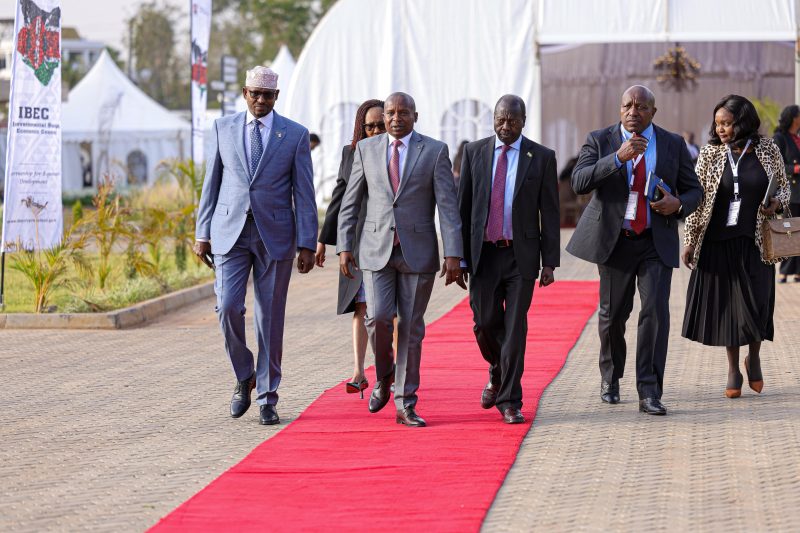 Governors demand review of e-Government procurement rollout