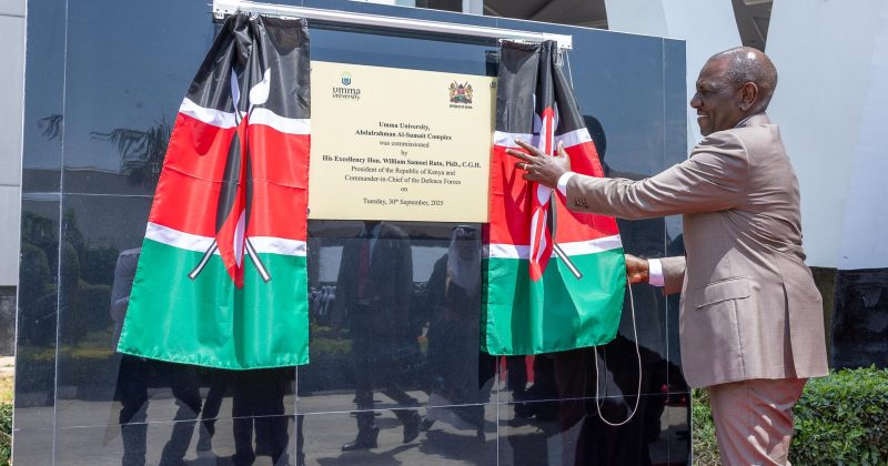 Ruto hails Linda Jamii as a more inclusive upgrade to Linda Mama