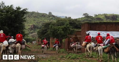 Aid workers use donkeys to reach Sudan landslide site