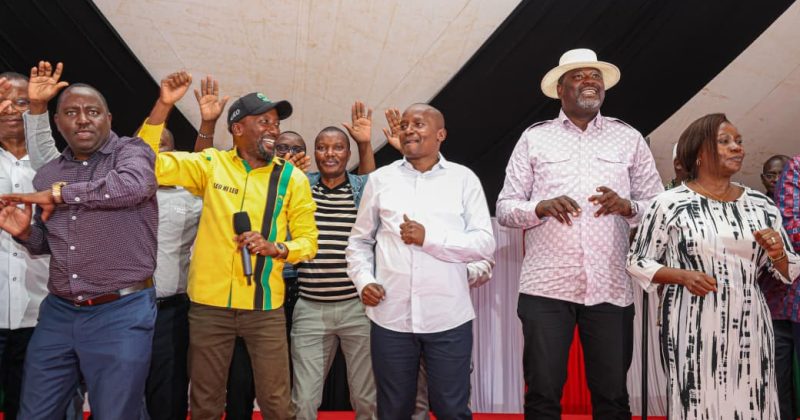 UDA Settles on Leonard Muriuki for Mbeere North By-Election
