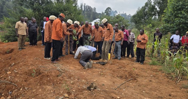Kikuyu Elders Plant Mugumo Tree to Reclaim Spiritual Space at Karimenu II