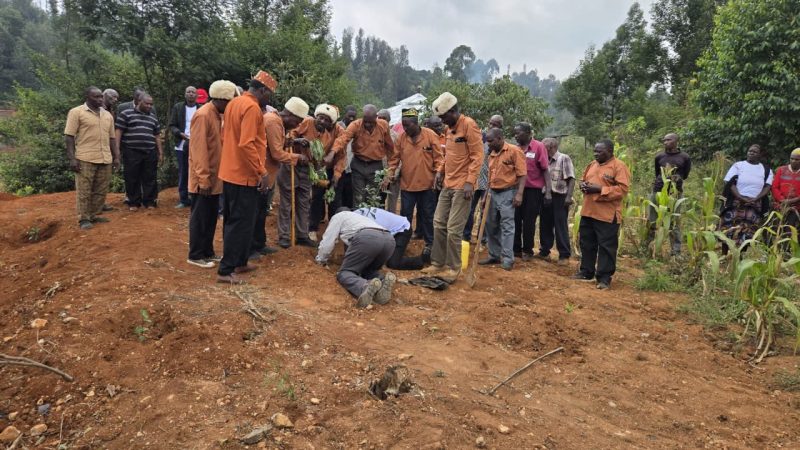 Kikuyu Elders Plant Mugumo Tree to Reclaim Spiritual Space at Karimenu II