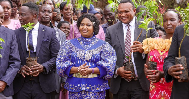 Plant More Trees to Safeguard the Nation’s Future – DP’s Spouse Urges