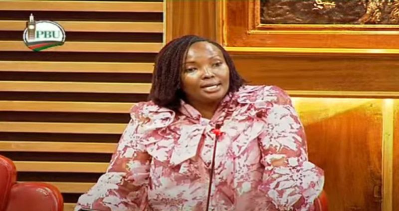 National Assembly roots for expedited extension of AGOA