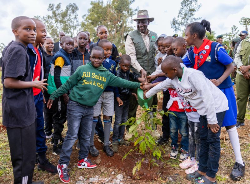 Ruto orders 5pc of CDF Funds Allocated to Tree Seedling Development