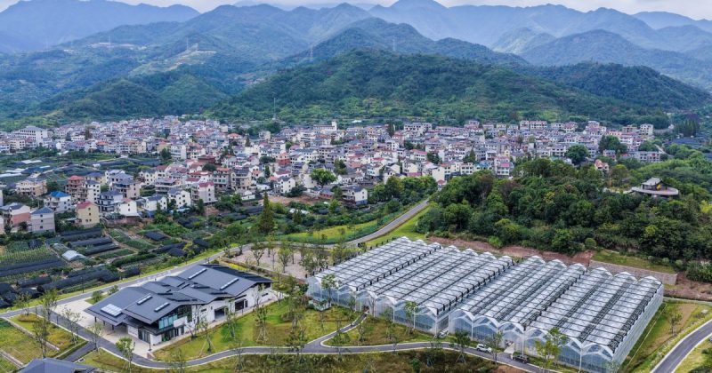 Xi outlines key tasks under 2030 modernization ambition