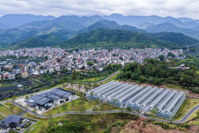 Xi outlines key tasks under 2030 modernization ambition