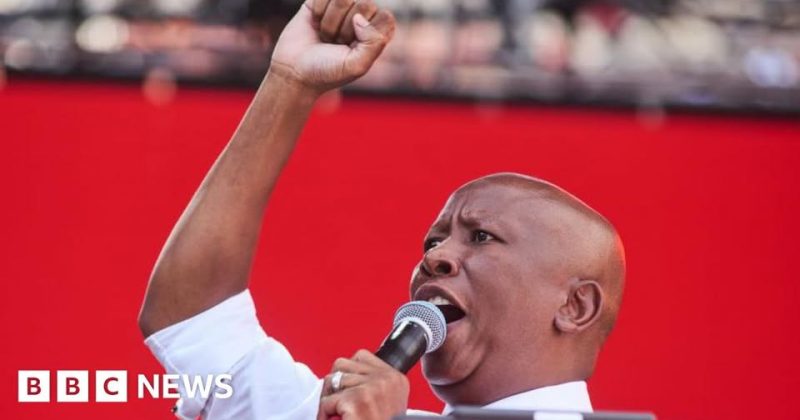 South African firebrand MP Malema convicted of firing a gun in public