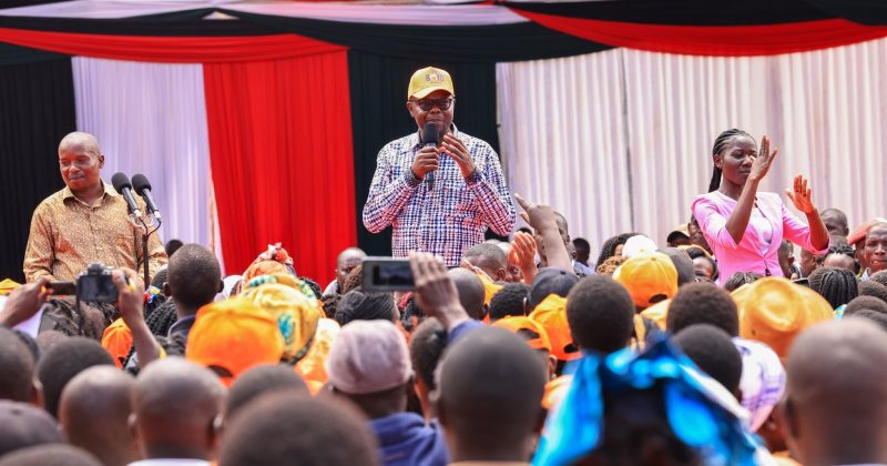 Nyanza Leaders Pledge to Work with Ruto Administration for Regional Development