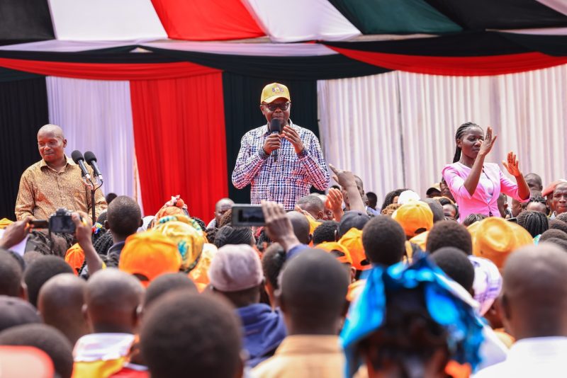 Nyanza Leaders Pledge to Work with Ruto Administration for Regional Development
