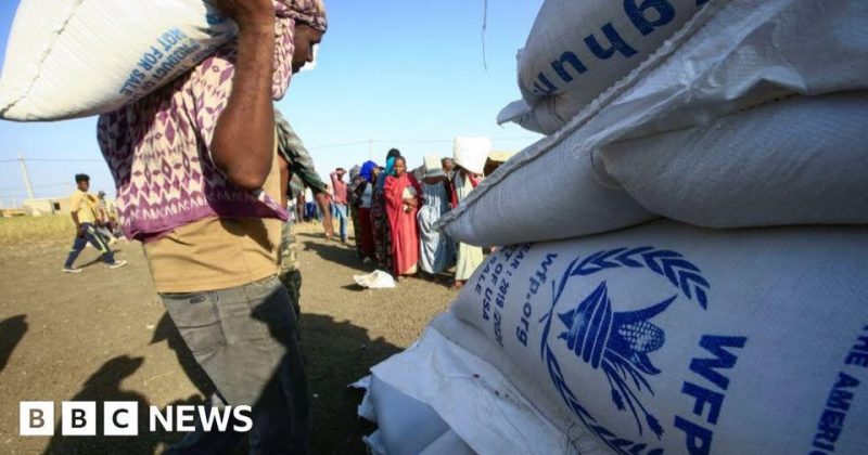 Sudan RSF leader promises probe as anger mounts over el-Fasher atrocities