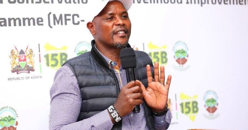 10-year Mau Forest Complex Conservation plan on course: PS Ng’eno