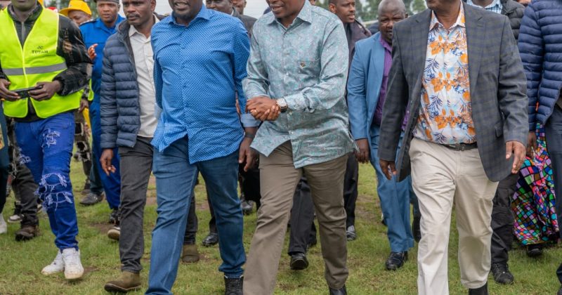 Kindiki: We will Deal with Tea Cartels to Improve Bonuses