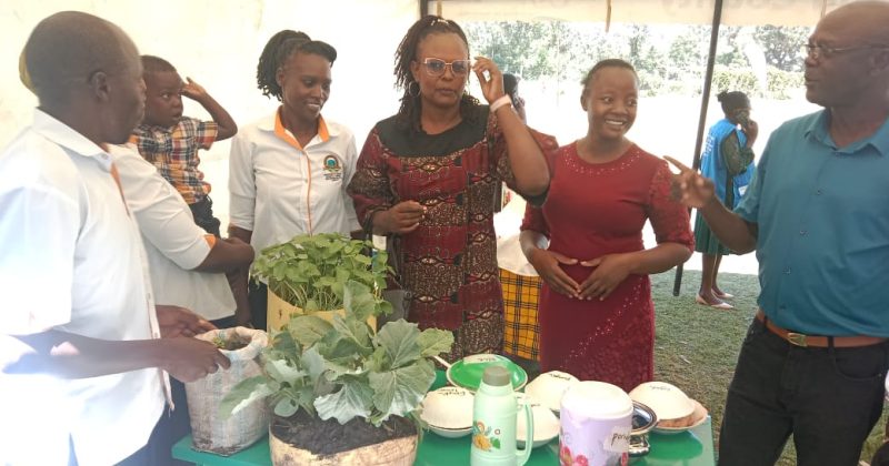 How school in flood prone Nyando is fighting malnutrition and boosting enrollment