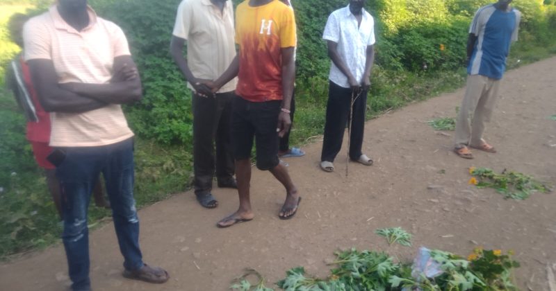 Tractor driver murdered in Muhoroni, head severed