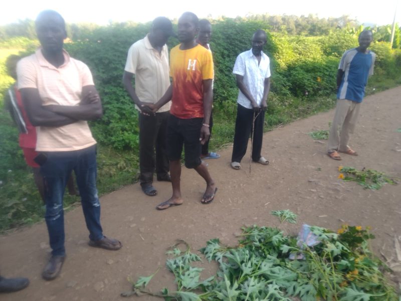 Tractor driver murdered in Muhoroni, head severed