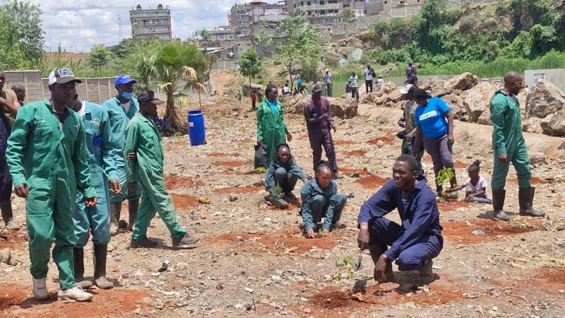 SHOFCO leads 16 CBOs in tree-planting dive across 7 counties to mark Mazingira Day