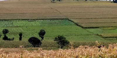 Kenya faces extreme land inequality. Could land value tax help curb hoarding?