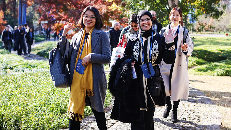 Xi urges young sinologists to build bridges between China and the world