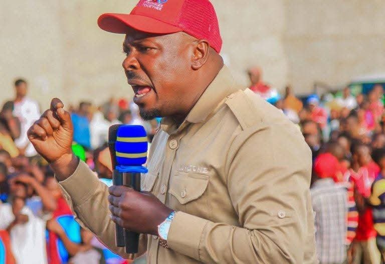 Tanzanian deputy opposition leader facing terrorism charges – lawyer