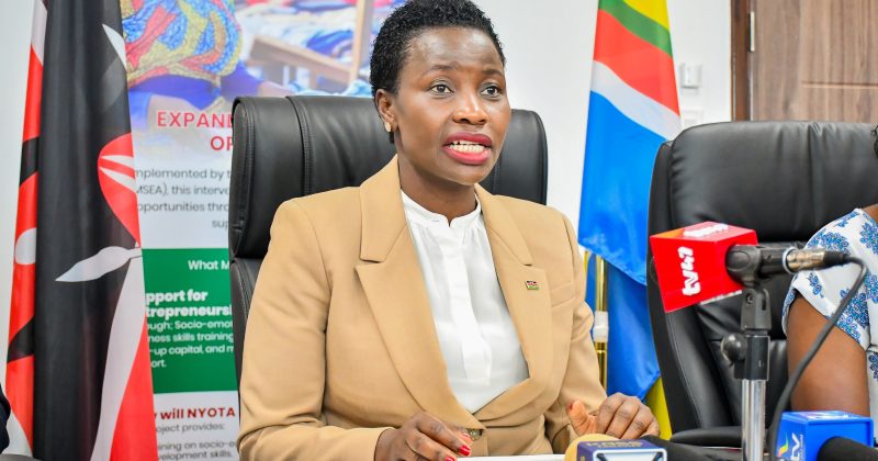 Nyota Project Rolls Out Final Phase of Business Training in 17 Counties