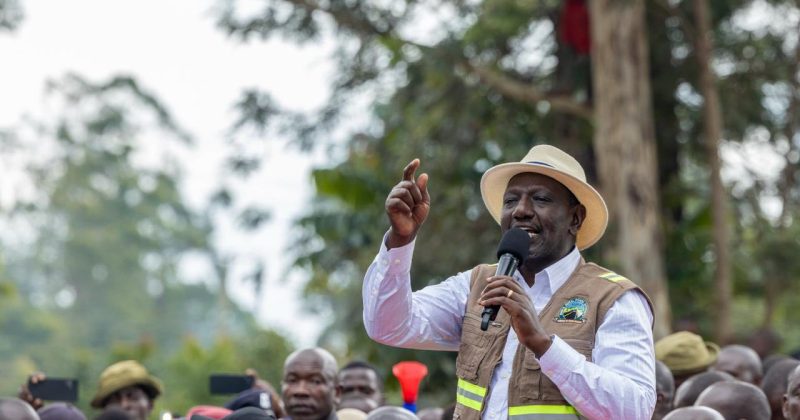 President Ruto seeks parliamentary approval for Sh 4.5 trillion proposal to turn Kenya into first world nation