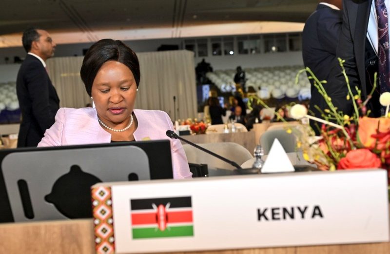 Kenya elected to UN Tourism Executive Council, wins 3 committees