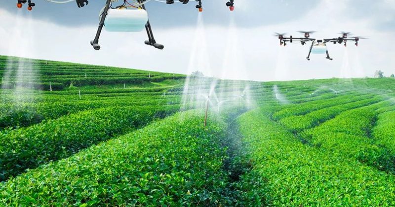 Experts Urge Africa to Embrace Green Innovation in Agriculture at China–Africa Symposium