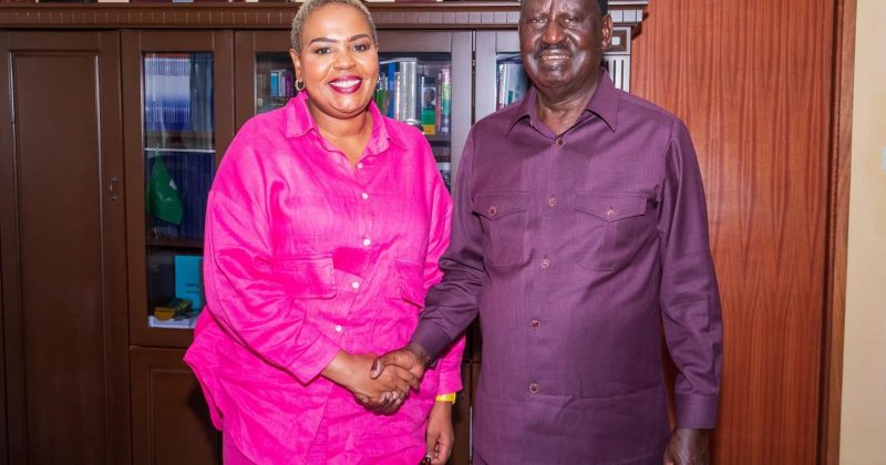 ODM at 20: The woman who birthed the party Raila built