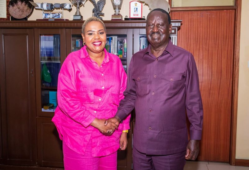 ODM at 20: The woman who birthed the party Raila built