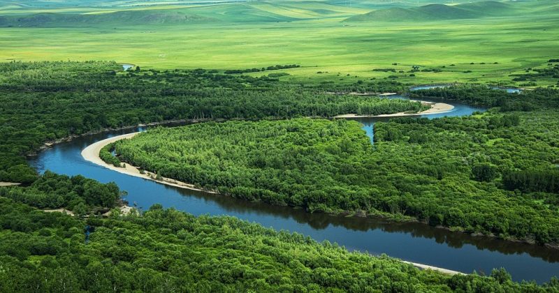 China cuts potent N2O emissions through synergistic climate, pollution governance